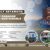 Divine Paradise Group of Hotels
